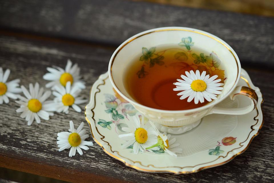 Cup, Tee, Porcelain, Drink, Decor, Break, Still Life