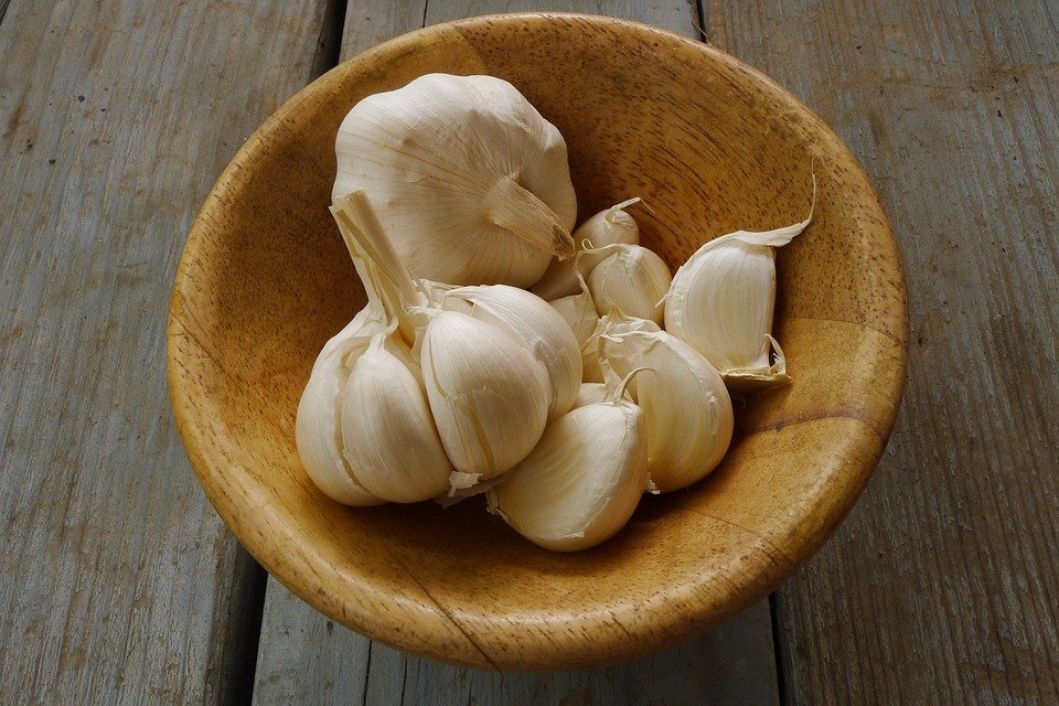 Garlic, Organic, Fresh, Vegetable, Produce