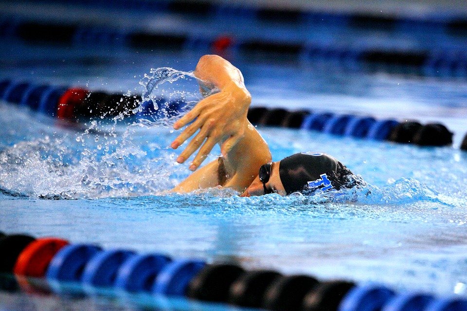 Swimming, Swimmer, Pool, Competition, Race, Arm, Hand